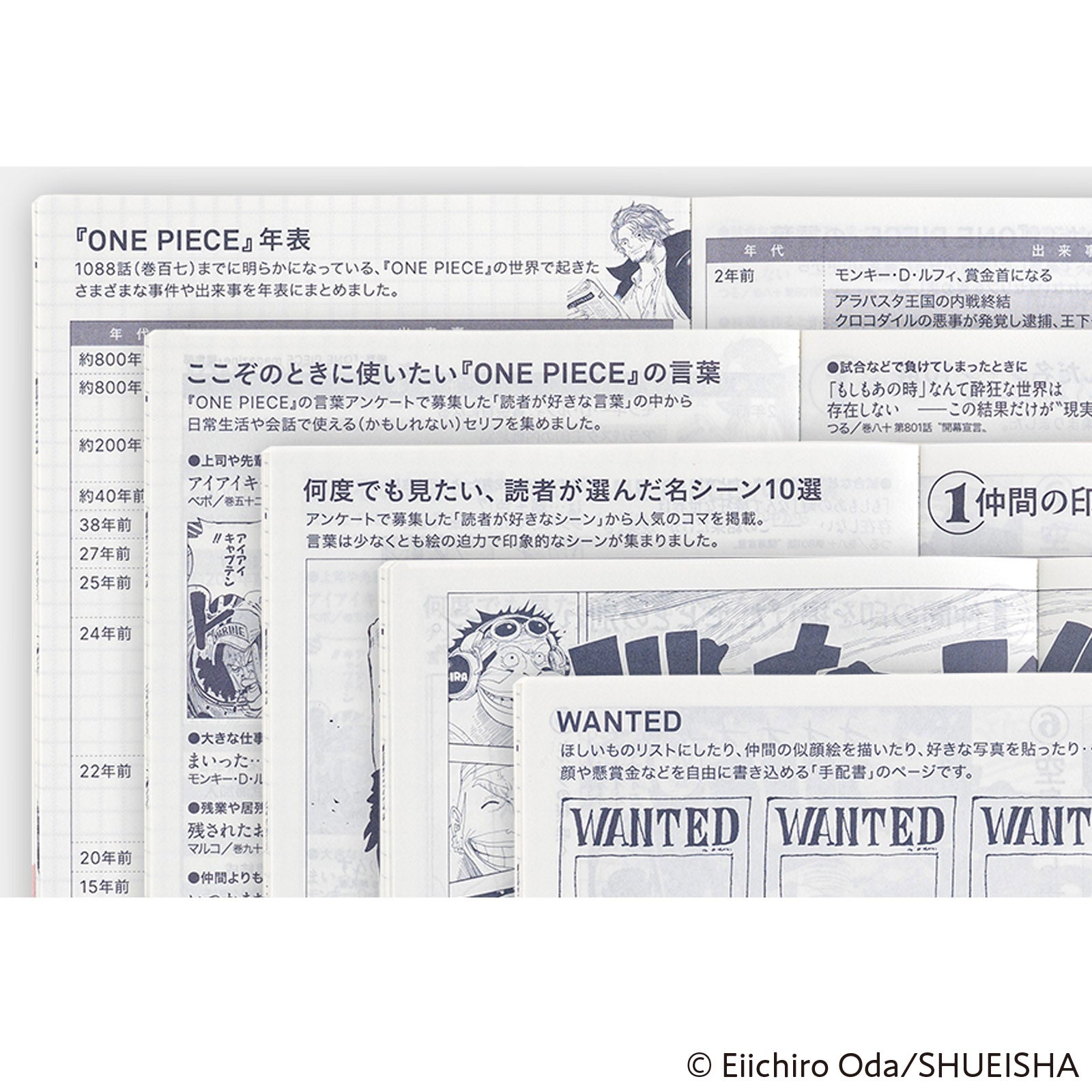 Hobonichi Techo A6 HON - ONE PIECE magazine: DON! JPN