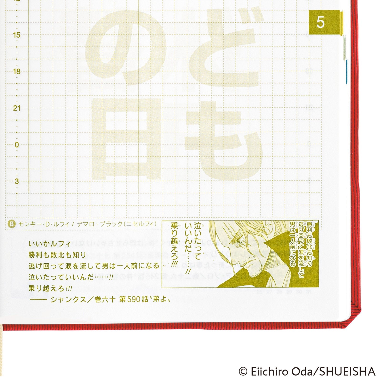 Hobonichi Techo A6 HON - ONE PIECE magazine: DON! JPN