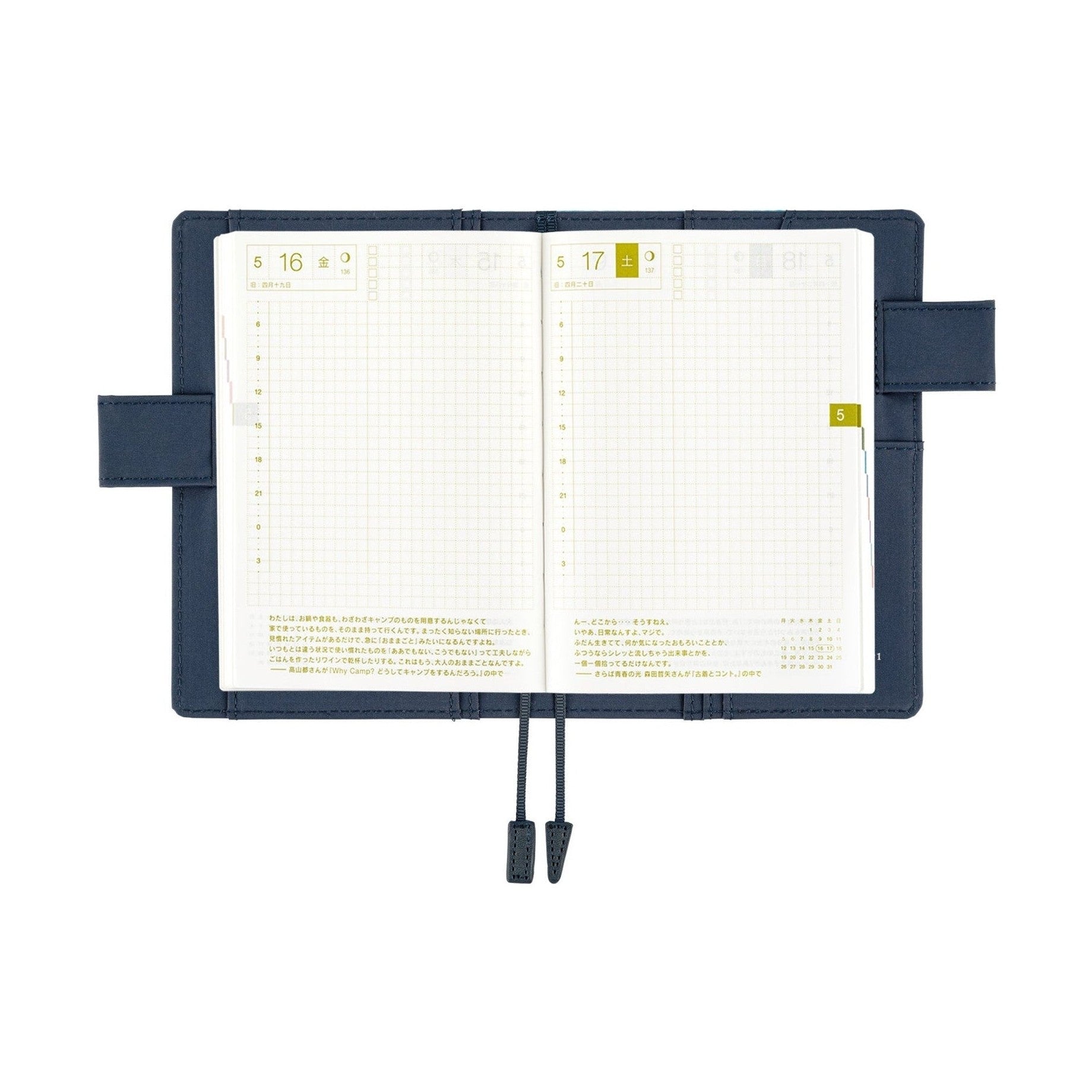 Hobonichi Techo A6 Original Planner Cover - Naoki Ishikawa: Denali in the Midnight Sun #1