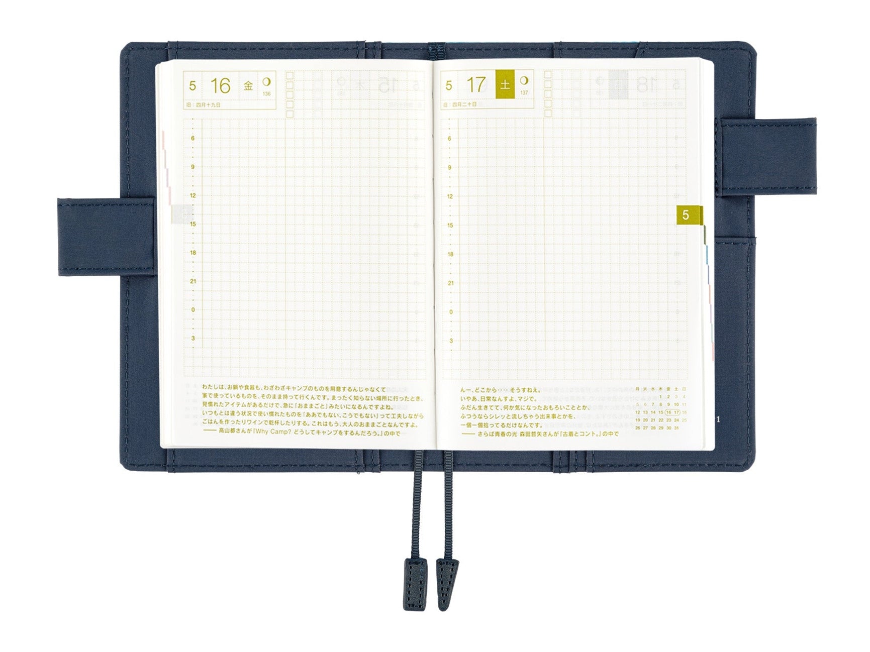 Hobonichi Techo A6 Original Planner Cover - Naoki Ishikawa: Denali in the Midnight Sun #1