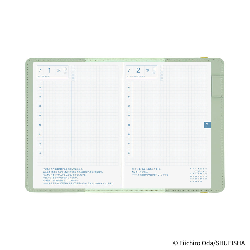 Hobonichi Techo A6 Original Planner Cover - ONE PIECE magazine: End of Luffy’s Dream Mint Green