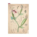 Hobonichi Techo Tomitaro Makino: Hobonichi Pencil Board for A5 Size Tomitaro Makino