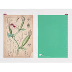 Hobonichi Techo Tomitaro Makino: Hobonichi Pencil Board for A5 Size Tomitaro Makino