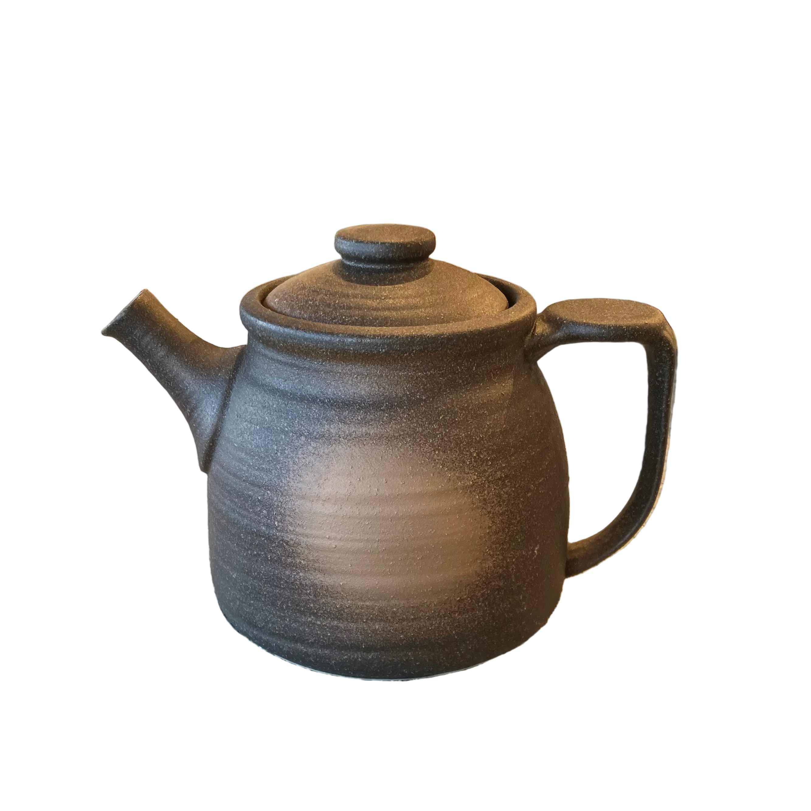 Ichiyama Bizen Tea Pot