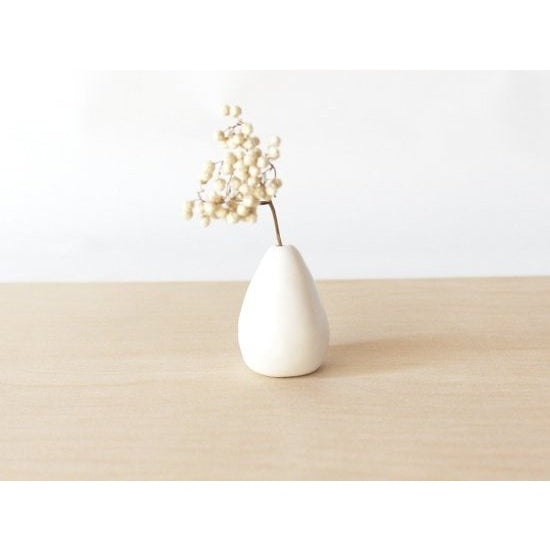 Ihoshiro Acorn Dry Flower Vase
