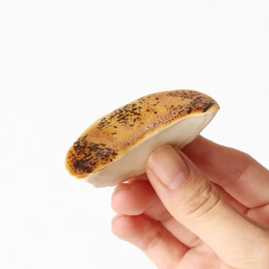 Ihoshiro Gyoza Chopstick Rest