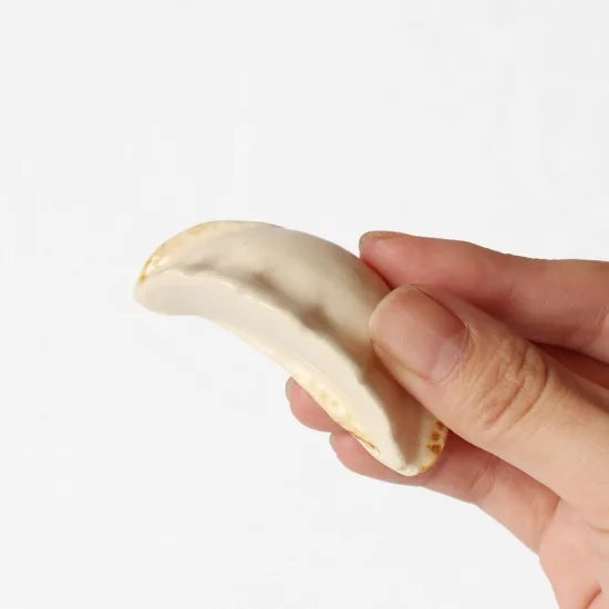 Ihoshiro Gyoza Chopstick Rest