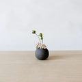 Ihoshiro Round Dry Flower Vase