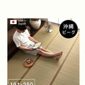 Ikehiko Okinawa Beag Tatami Rug