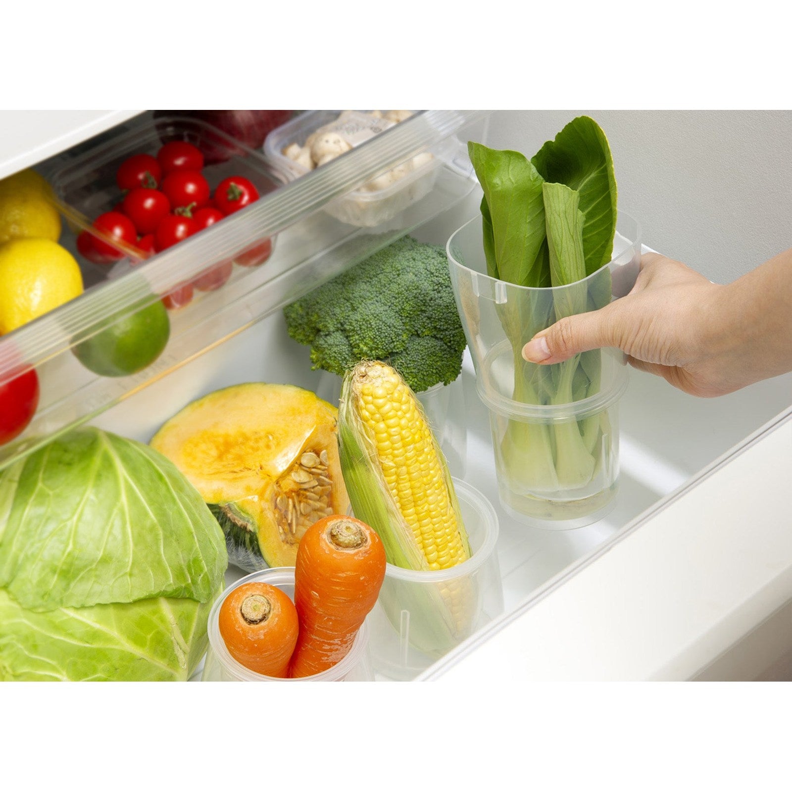 Inomata Fresh Vegetable Keeper Stand