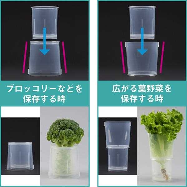 Inomata Fresh Vegetable Keeper Stand