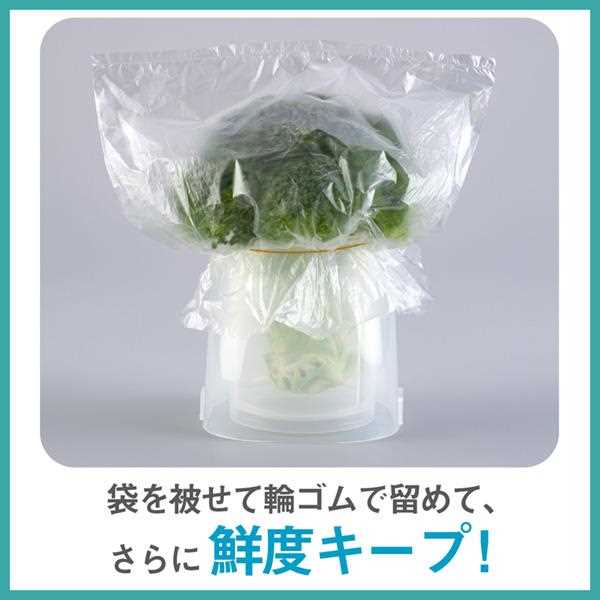 Inomata Fresh Vegetable Keeper Stand