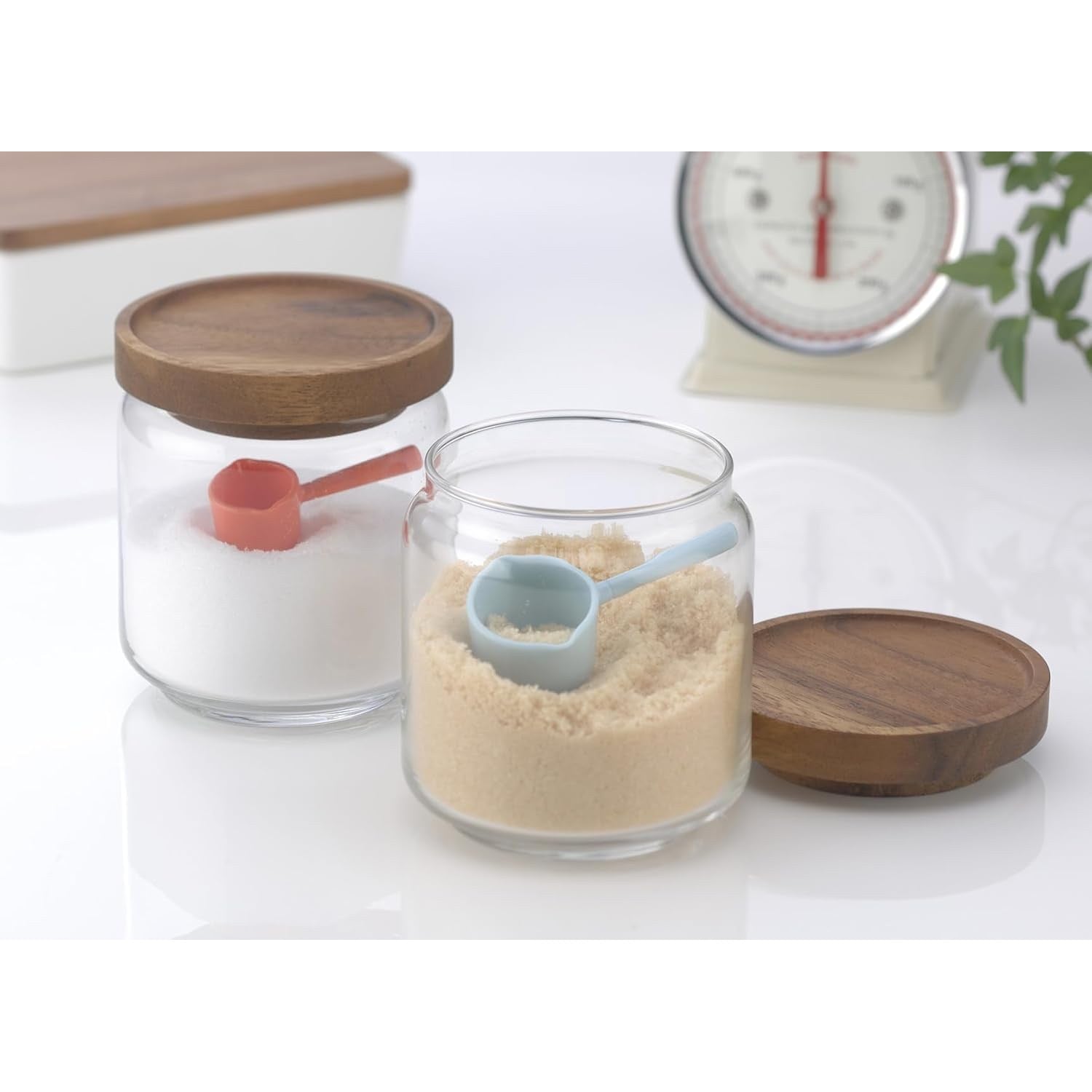 Inomata Measuring Spoon - BL & OR