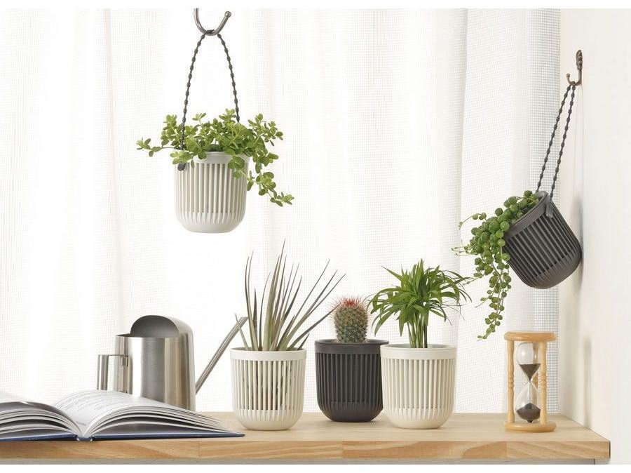 Inomata Mini Hanging Plant Pot