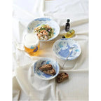 Jinbei Whale Plate Set 3P