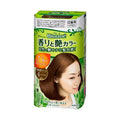 Kao Blaune Cream Hair Colour