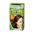 Kao Blaune Cream Hair Colour