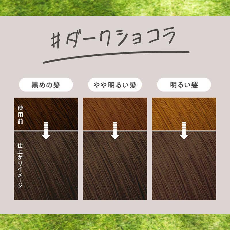 Kao Liese Creamy Bubble Colour Hair Dye - Dark Chocolat