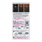 Kao Liese Creamy Bubble Colour Hair Dye - Ice Bluege