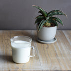 Kinto - CAST Milk Mug - 310ml