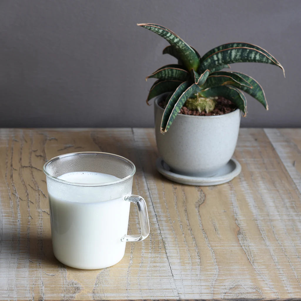 Kinto - CAST Milk Mug - 310ml