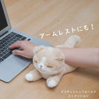 Kutatto Biyori Scottish Fold Cat Mini Cushion