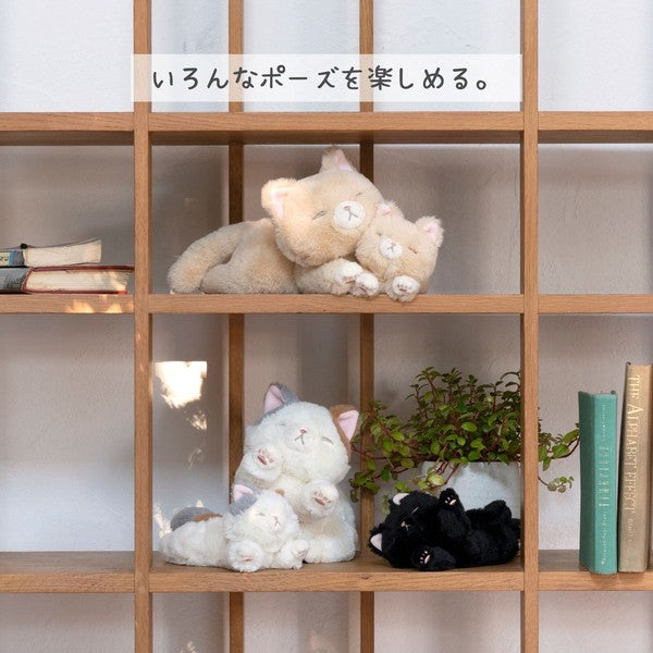 Kutatto Biyori Scottish Fold Cat Mini Cushion