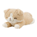 Kutatto Biyori Scottish Fold Cat Mini Cushion