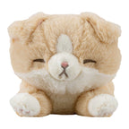 Kutatto Biyori Scottish Fold Cat Mini Cushion