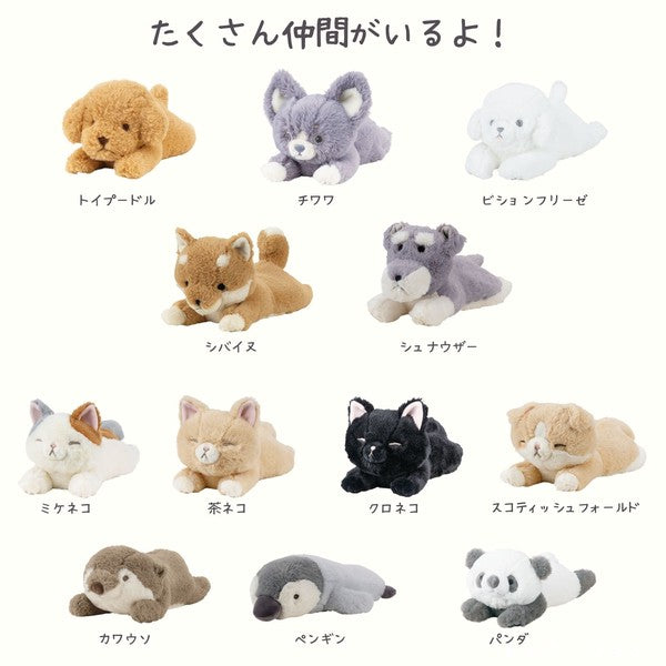 Kutatto Biyori Shiba Inu Mini Cushion
