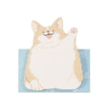 Kutsuwa Hai! Sticky Note - Corgi