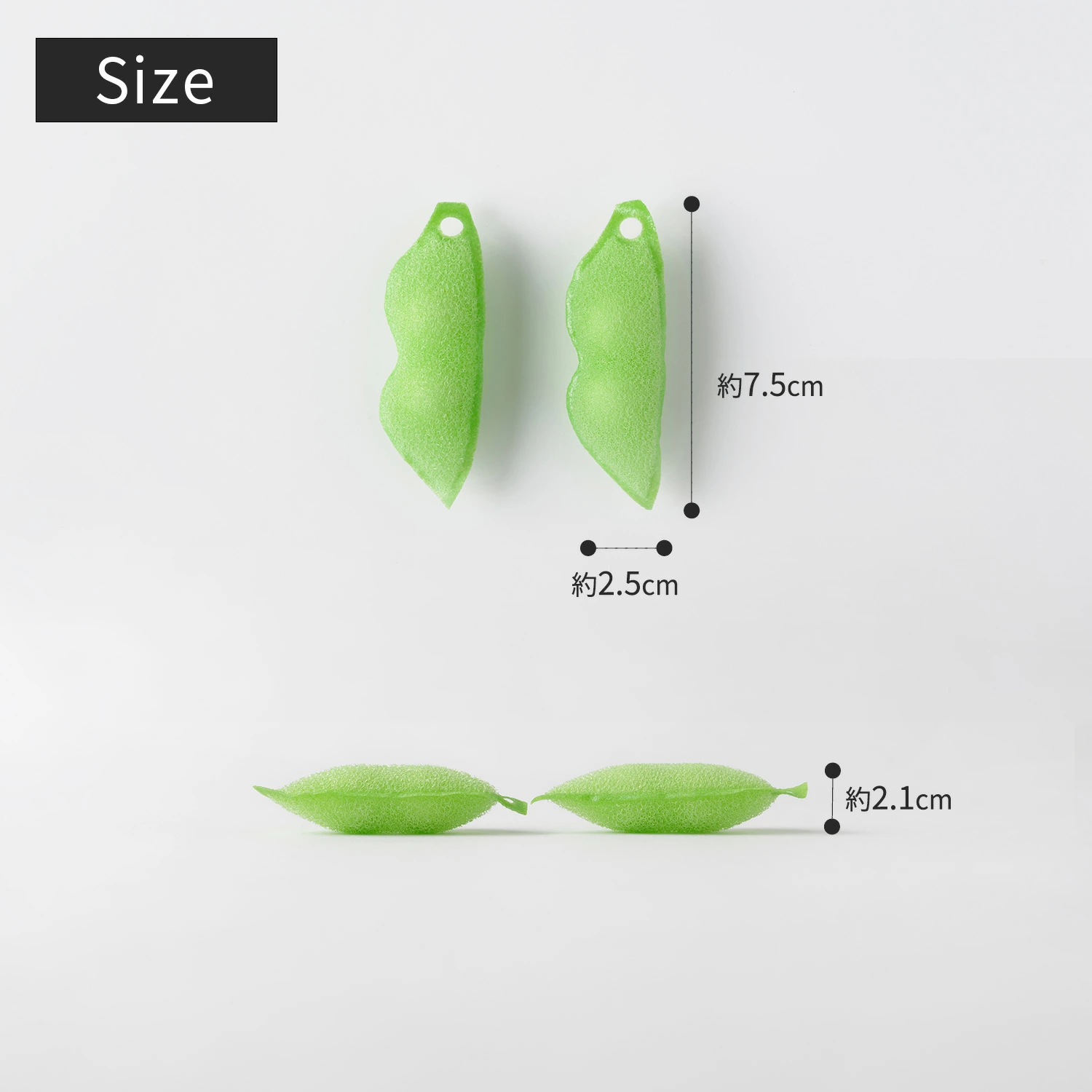 Marna Bottle Cleaning Sponge Beans