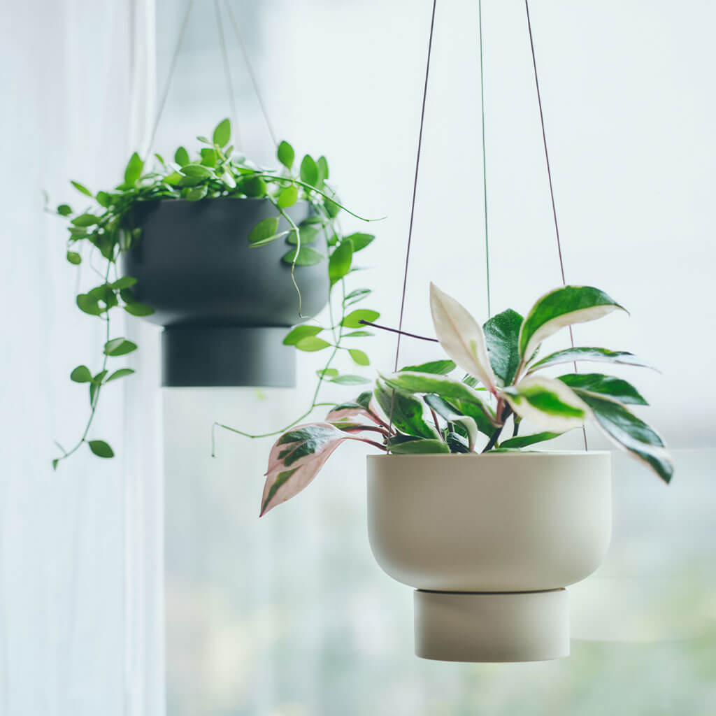 Marna Hanging Plant Pot