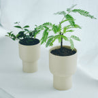 Marna Plant Pot 115mm