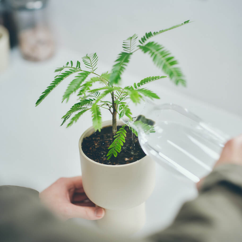 Marna Plant Pot 115mm