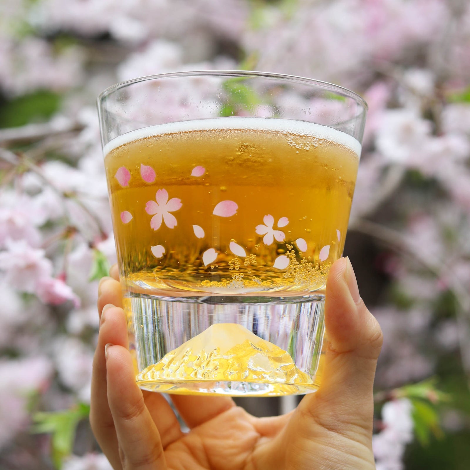 Marumo Takagi Colour Changing Sakura Fuji Rock Glass 270ml