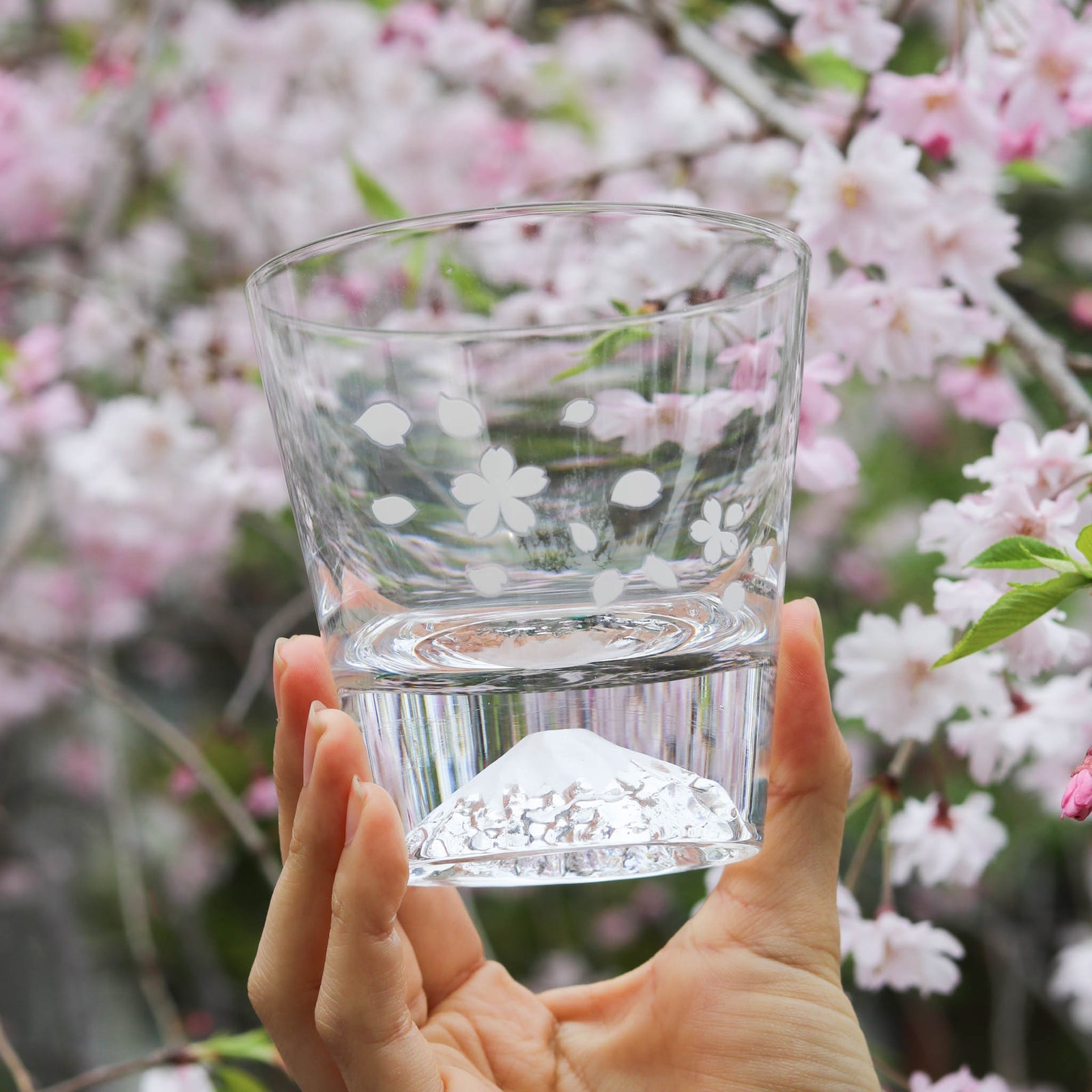 Marumo Takagi Colour Changing Sakura Fuji Rock Glass 270ml