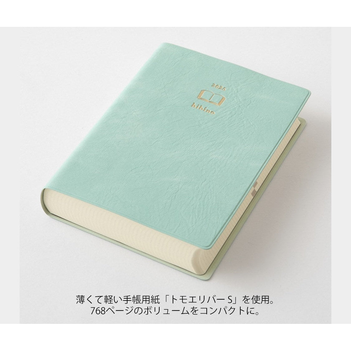 Midori HIBINO A6 Diary 2025 - Blue Green