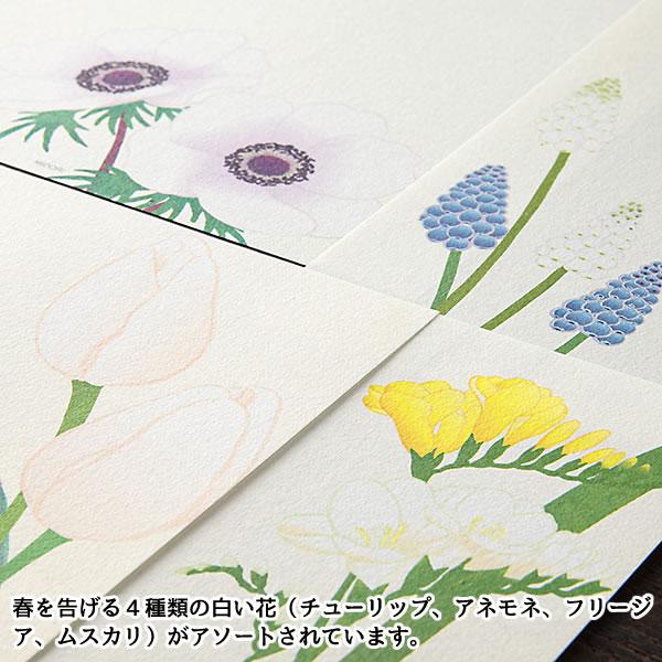 Midori Kami Letter Paper - Mimoza Flowers