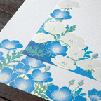 Midori Kami Letter Paper - Nemophila