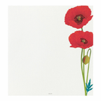 Midori Kami Letter Paper - Poppy