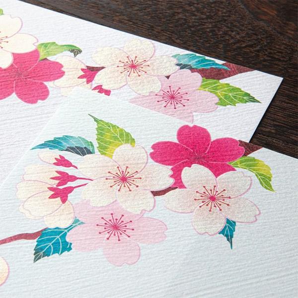 Midori Kami Letter Paper - Sakura