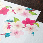 Midori Kami Letter Paper - Sakura