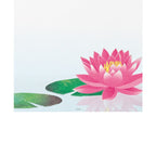 Midori Kami Letter Paper Set Mirror Water Lily