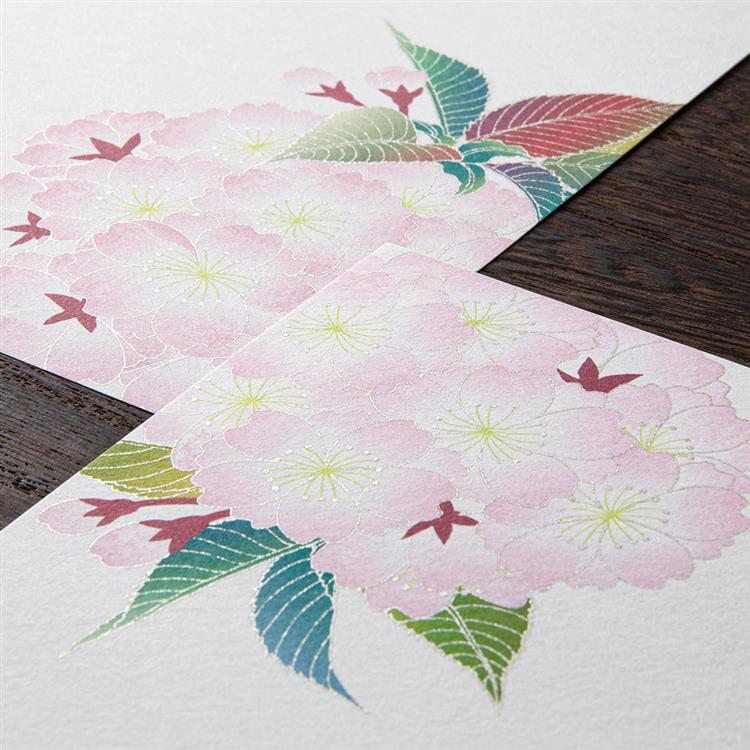 Midori Kami Letter Paper - Silk Sakura