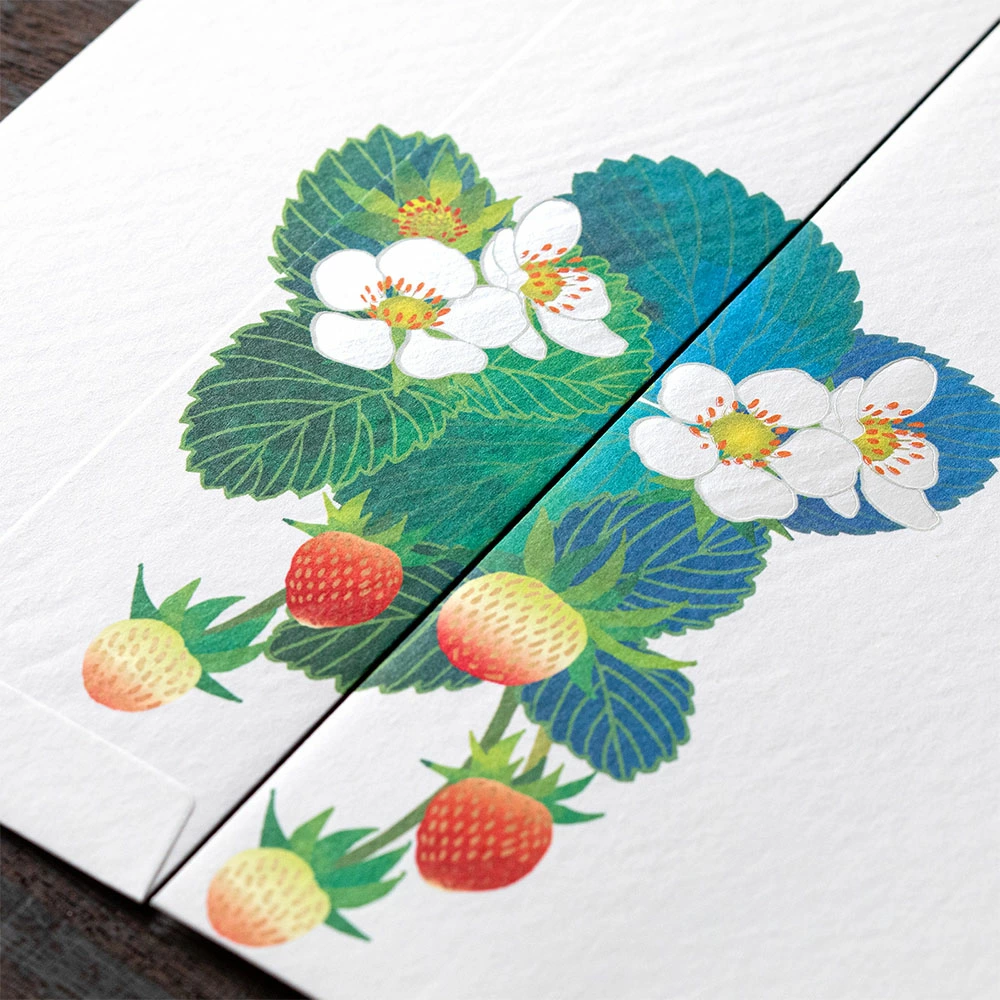 Midori Kami Letter Paper - Strawberry Blossom