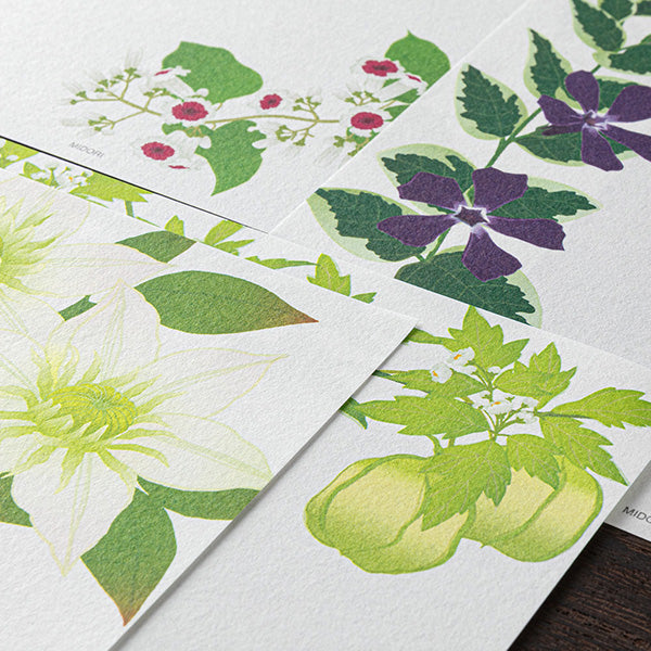 Midori Kami Letter Paper Summer Flower
