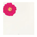 Midori Kami Letter Set Camellia