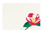 Midori Kami Letter Set Camellia