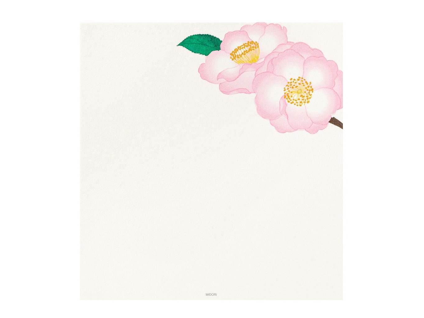 Midori Kami Letter Set Camellia